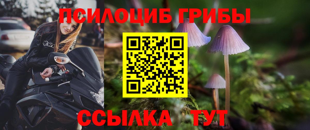Галлюциногенные грибы MAGIC MUSHROOMS Ноябрьск